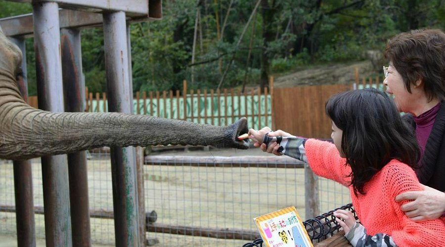 🐅 시로토리 동물원 이미지 7